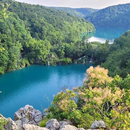 B&B Plitvice Lakes Villa Prica 普利特维采村 外观 照片