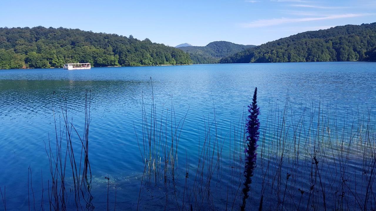 B&B Plitvice Lakes Villa Prica 普利特维采村 外观 照片