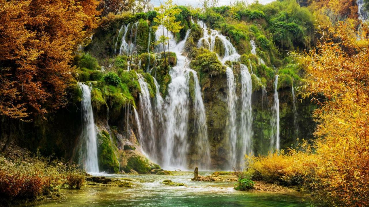 B&B Plitvice Lakes Villa Prica 普利特维采村 外观 照片