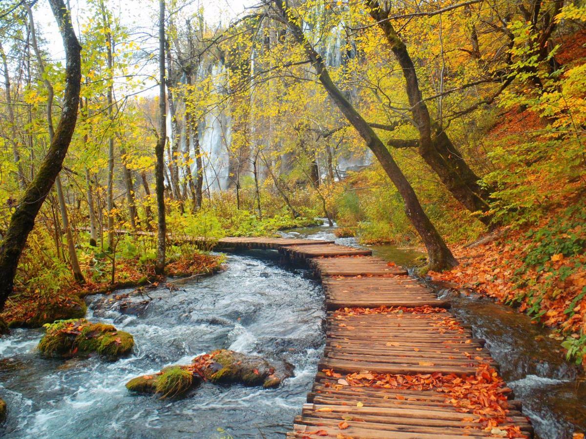 B&B Plitvice Lakes Villa Prica 普利特维采村 外观 照片
